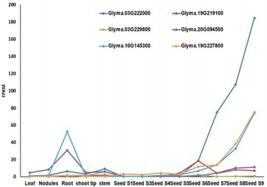 Hình 3 2 Phân tích transcriptomics cho GOLS trong đậu tương Dữ liệu được lấy 1