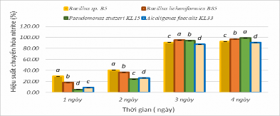 Hình 3 7 Hiệu suất chuyển hóa NO 2 của 4 chủng vi khuẩn Tiến hành định 2