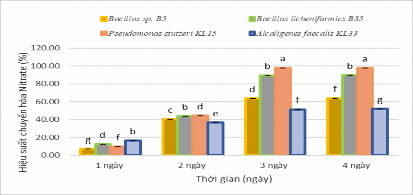 Hình 3 8 Hiệu suất chuyển hóa NO 3 của 4 chủng vi khuẩn Kết quả hình 3 8 cho 3