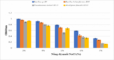 Hình 3 9 Khả năng sống ở các nồng độ NaCl của 4 chủng vi khuẩn Hình 3 9 4