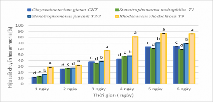 Hình 3 10 Hiệu suất chuyển hóa NH 4 của 4 chủng vi khuẩn Hình 3 10 cho thấy 5