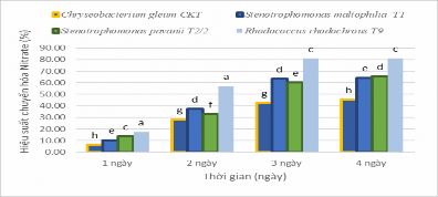 Hình 3 11 Hiệu suất chuyển hóa NO 3 của 4 chủng vi khuẩn Hình 3 11 cho thấy 6