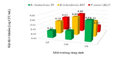 Hình 3 14 Ảnh hưởng của môi trường nhân sinh khối đến ba chủng vi khuẩn 1