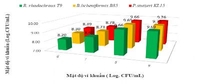 Hình 3 15 Ảnh hưởng của mật độ giống đến nhân sinh khối ba chủng vi 2