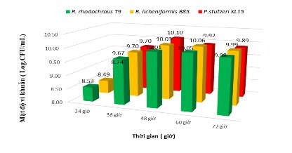 Hình 3 16 Ảnh hưởng thời gian tăng sinh đến nhân sinh khối ba chủng vi khuẩn 3