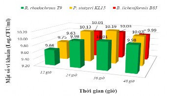 Hình 3 18 Ảnh hưởng của thời gian đến sinh khối ba chủng vi khuẩn Hình 3 18 5