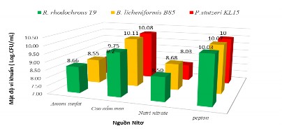 Hình 3 22 Ảnh hưởng của Nitơ đến sinh khối ba chủng vi khuẩn Trong các nguồn 9