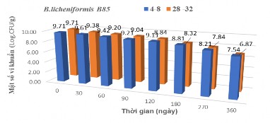 Hình 3 30 Khảo sát điều kiện bảo quản của vi khuẩn B licheniformis Hình 3 30 5