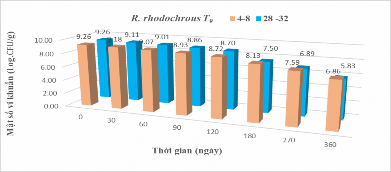 Hình 3 32 Khảo sát điều kiện bảo quản của vi khuẩn R rhodochrous T 9 Đối với 7