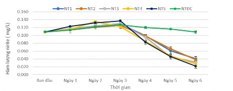 Hình 3 35 Hàm lượng nitrite theo dõi hàng ngày Sau thời gian 3 ngày các chủng vi 2