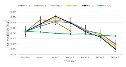 Hình 3 36 Hàm lượng nitrate theo dõi hàng ngày Riêng nghiệm thức đối chứng hàm 3