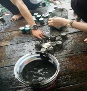 Hình 1 3 Một số hình ảnh thu mẫu ở Vịnh Xuân Đài 1 2 1 Môi trường trypticase 1