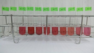 Ghi chú trắng đỏ Hình 1 6 Sự hiện diện của nhóm AOB trong mẫu bùn 6