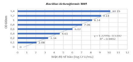 Hình 2 1 Đường tuyến tính của vi khuẩn Bacillus licheniformis B85 Hình 2 2 Đường 1
