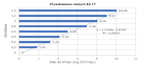Hình 2 1 Đường tuyến tính của vi khuẩn Bacillus licheniformis B85 Hình 2 2 Đường 2