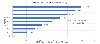 Hình 2 3 Đường tuyến tính của vi khuẩn R rhodochrous T 9 2 2 Thành phần môi 3