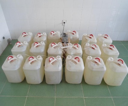 Hình 3 1 Thử nghiệm nước ao nuôi tôm thẻ chân trắng trong PTN Bảng 3 1 Chỉ tiêu 3