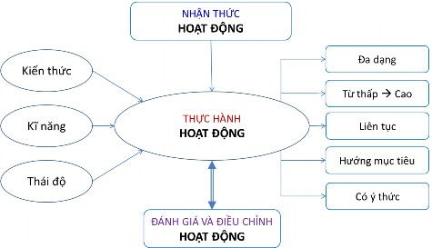 Hình 1 2 Tiến trình phát triển năng lực 1 4 2 2 Đặc điểm của dạy học phát 1
