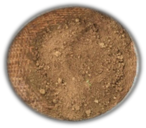 Chế phẩm BaD S20D12 Trộn chế phẩm với đất trước lúc bón Chế phẩm lên men 2