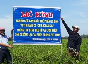 Mô hình sản xuất lạc vụ Đông Xuân 2018 – 2019 Chế phẩm thương mại Biota Max 10