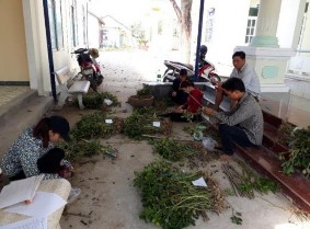 Đo đếm số liệu vụ Đông Xuân 2017 – 2018 Thu mẫu vụ Xuân Hè 2017 Mô hình 7