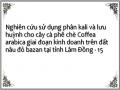 Nghiên cứu sử dụng phân kali và lưu huỳnh cho cây cà phê chè Coffea arabica giai đoạn kinh doanh trên đất nâu đỏ bazan tại tỉnh Lâm Đồng - 15