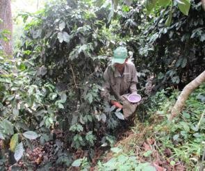 MỘT SỐ HÌNH ẢNH THỰC HIỆN ĐỀ TÀI LUẬN ÁN Hình 1 Bảng thực hiện đề tài 3