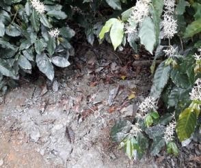 MỘT SỐ HÌNH ẢNH THỰC HIỆN ĐỀ TÀI LUẬN ÁN Hình 1 Bảng thực hiện đề tài 4