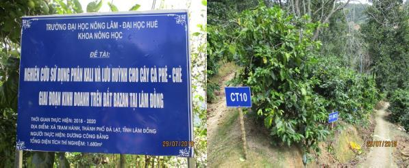 Hình 1 Bảng thực hiện đề tài luận án Hình 2 Bố trí các thí nghiệm Hình 3 5