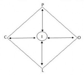 Hình 1 4 Mô hình tiếp cận chức năng POLCI Kế hoạch hóa Planning P Tổ chức 1