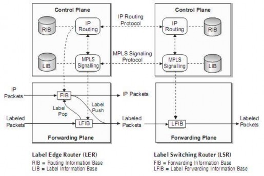 Hình 1 8 Cấu trúc của LER và transit LSR Mặt phẳng điều khiển còn có chức 1