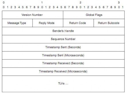 Hình 2 9 Định dạng gói echo MPLS Chỉ có một phiên bản duy nhất Trường Global 1