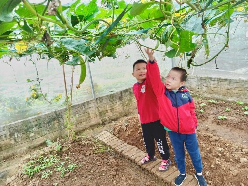 Trẻ lắng nghe và tiếp nhận Trẻ hát và vận động vui vẻ thoải mái… 1