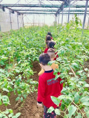 Trẻ lắng nghe và tiếp nhận Trẻ hát và vận động vui vẻ thoải mái… 2