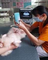 MỘT SỐ HÌNH ẢNH TRONG QUÁ TRÌNH TRIỂN KHAI ĐỀ TÀI Triệu chứng viêm tử cung 1