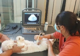 MỘT SỐ HÌNH ẢNH TRONG QUÁ TRÌNH TRIỂN KHAI ĐỀ TÀI Triệu chứng viêm tử cung 2