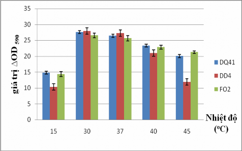 Hình 3 19 Ảnh hưởng của nhiệt độ đến khả năng hình thành màng sinh học 1