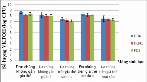 Hình 3 23 Mật độ tế bào của chủng DD4 DQ41 và FO2 trong MSH sau 9 ngày nuôi cấy 2