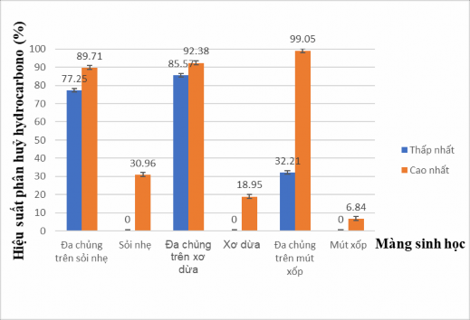 Hình 3 34 Sự phân hủy hydrocarbon no của dầu thô sau 14 ngày nuôi cấy bởi 2