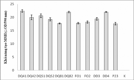 Hình 3 4 Khả năng tạo màng sinh học của các chủng VKTQH phân hủy hydrocarbon 17