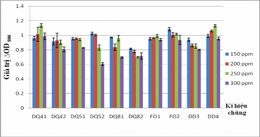 Hình 3 7 Khả năng sinh trưởng của 10 chủng VKTQH ở các nồng độ toluene khác 20