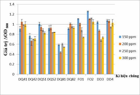 Hình 3 9 Khả năng sinh trưởng của 10 chủng VKTQH sau 7 ngày nuôi cấy ở các 22