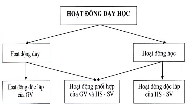 Sơ đồ 1 1 Sự phối hợp giữa hoạt động dạy và hoạt động học 1 2 2 Hoạt 1