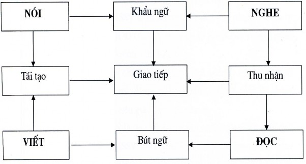 Sơ đồ 1 2 Hệ thống kĩ năng hình thành cho sinh viên trong dạy học môn Tiếng 2