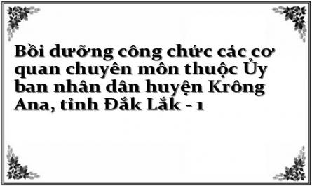 Bồi dưỡng công chức các cơ quan chuyên môn thuộc Ủy ban nhân dân huyện Krông Ana, tỉnh Đắk Lắk
