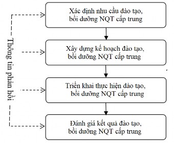 Hình 1 3 Quy trình đào tạo NQT cấp trung của doanh nghiệp Nguồn Mai Thanh Lan 3
