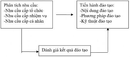 Hình 2 3 Quy trình đào tạo bồi dưỡng NQT cấp trung tại May 10 Nguồn Phòng 1