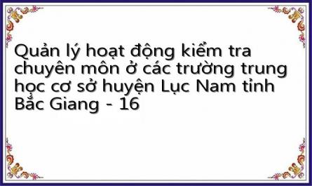 Quản lý hoạt động kiểm tra chuyên môn ở các trường trung học cơ sở huyện Lục Nam tỉnh Bắc Giang - 16