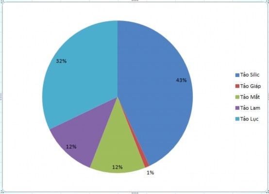 Hình 3 4 Tỷ lệ các ngành thực vật nổi khu vực sông Hồng Nguồn Bộ Nông 1