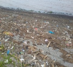 Hình 3 16 Rác thải đổ ra sông Nguồn Của tác giả 2015 Kết quả khảo sát 10